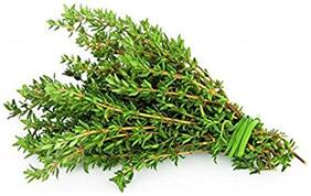 Herbal Plants For Growing - Thyme Herb Seeds Kitchen Garden Pack by Creative Farmer