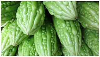 High Yield Organic - Bitter Gourd Seeds For Gardening-20 Seeds by Creative Farmer