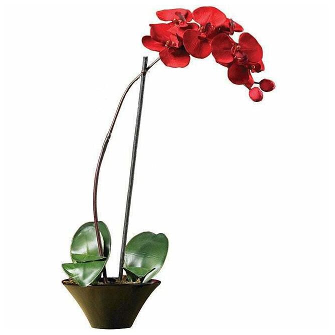 

Holiday Faux Phalaenopsis Orchid Arrangement Red N A