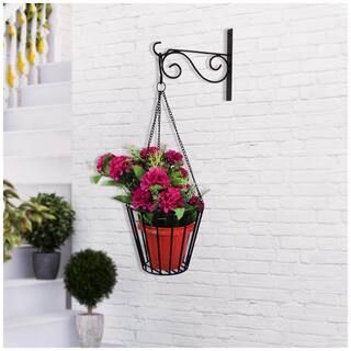 Buy Home Sparkle Mild Steel Wall Hanging Flower Holder Online At