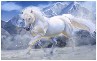 Buy Horse Poster Horse Posters Running Horse Poster Horse Wall Poster Horse Poster For Room Online At Low Prices In India Paytmmall Com