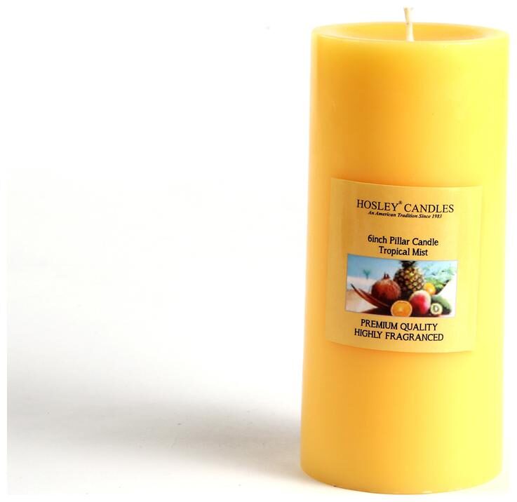 

Hosley Tropical Mist Highly Fragrance 6Inch Pillar Candle