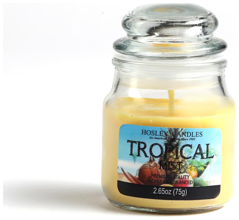 

Hosley Tropical Mist Highly Fragrance 75 12 g (2 65 Oz) Wax Jar Candle