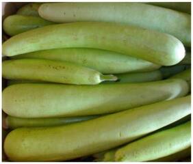 Hybrid Bottle Gourd Seeds For Gardening-20 Seeds by Creative Farmer