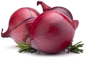 Hybrid Red Onion Seeds Vegetable Seeds Kitchen Garden Pack Vegetable Seeds by Creative Farmer