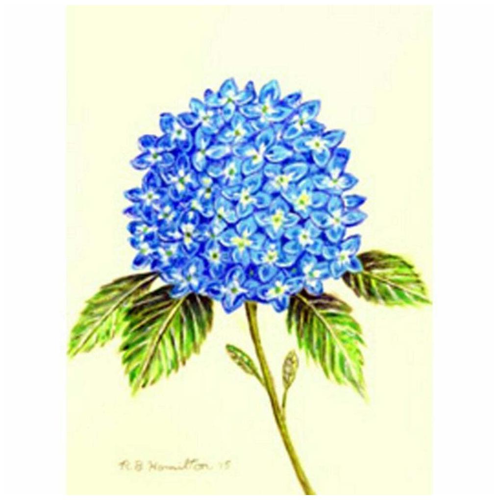 

Hydrangea 12 5-inch x 18-inch Flag Multi