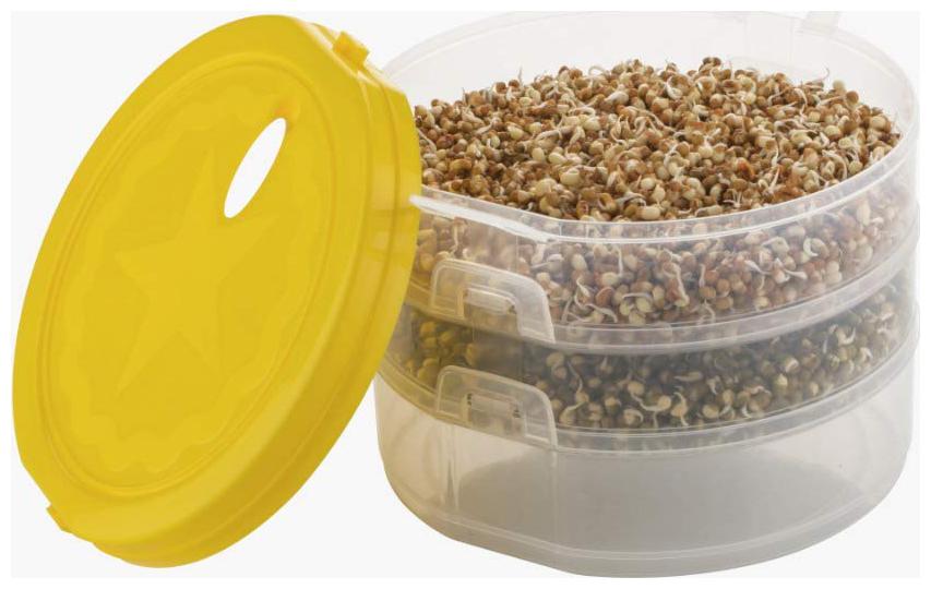 

Hygienic Sprout Maker with 3 Compartments for Multi Purpose Use - 1 L Plastic Grocery Container Utility Box