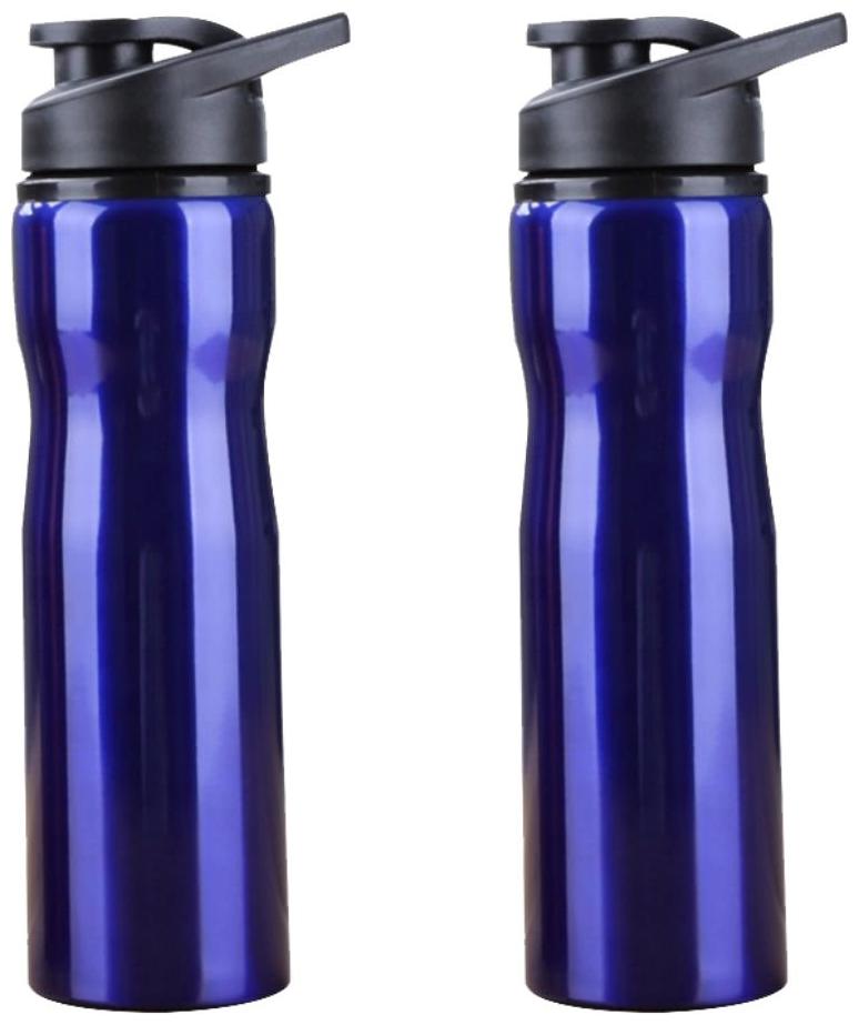 

Inspiring Tech Stainless Steel Blue Water Bottle ( 800 ml Set of 2 )