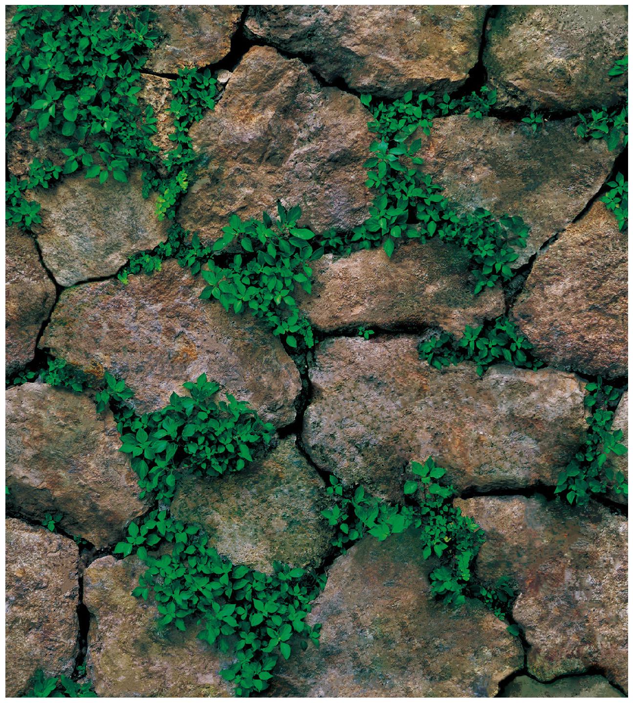 

JAAMSO ROYALS 3D Brown stone with grass wallpaper self-adhesive peel stick ( 45 x 200 CM ) Pack of 1