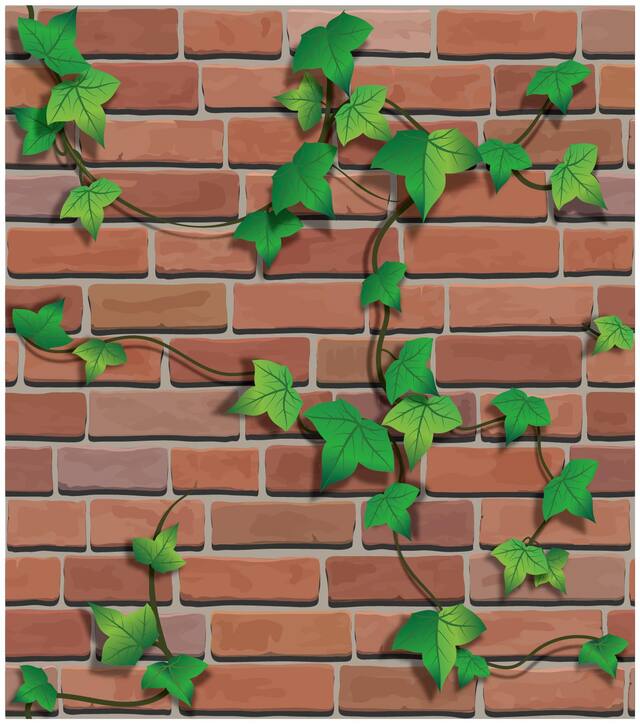 JAAMSO ROYALS Brick and green well Stone  wallpaper self-adhesive, peel & stick ( 45 CM x 1000 CM ) Pack of 1
