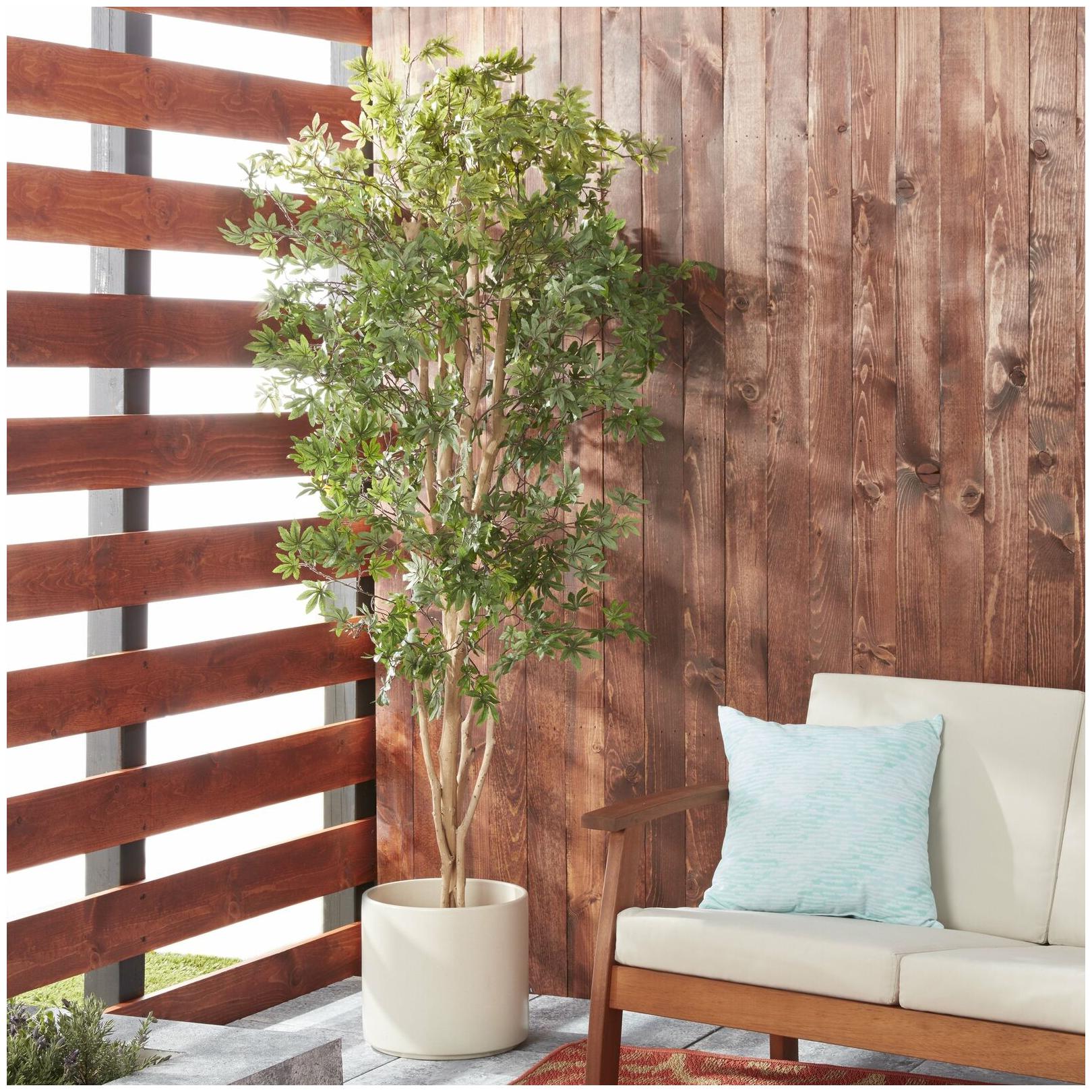 

Japanese Maple 6-foot Silk Tree - Green Green