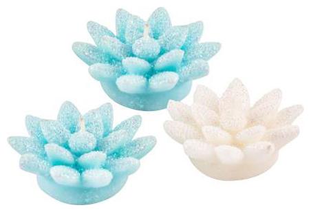 

JARS Collections Paraffin wax Assorted Candle