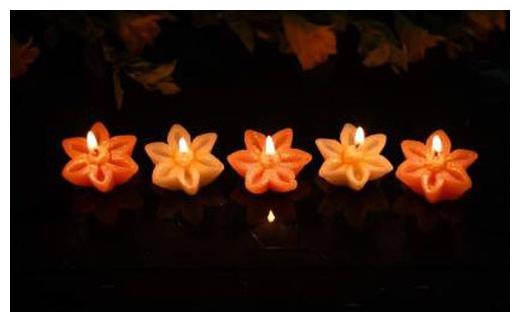 

JARS Collections Paraffin wax Assorted Candle