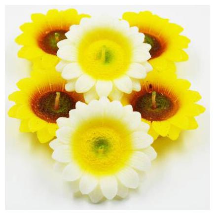 

JBG Home Store Paraffin wax Assorted Candle