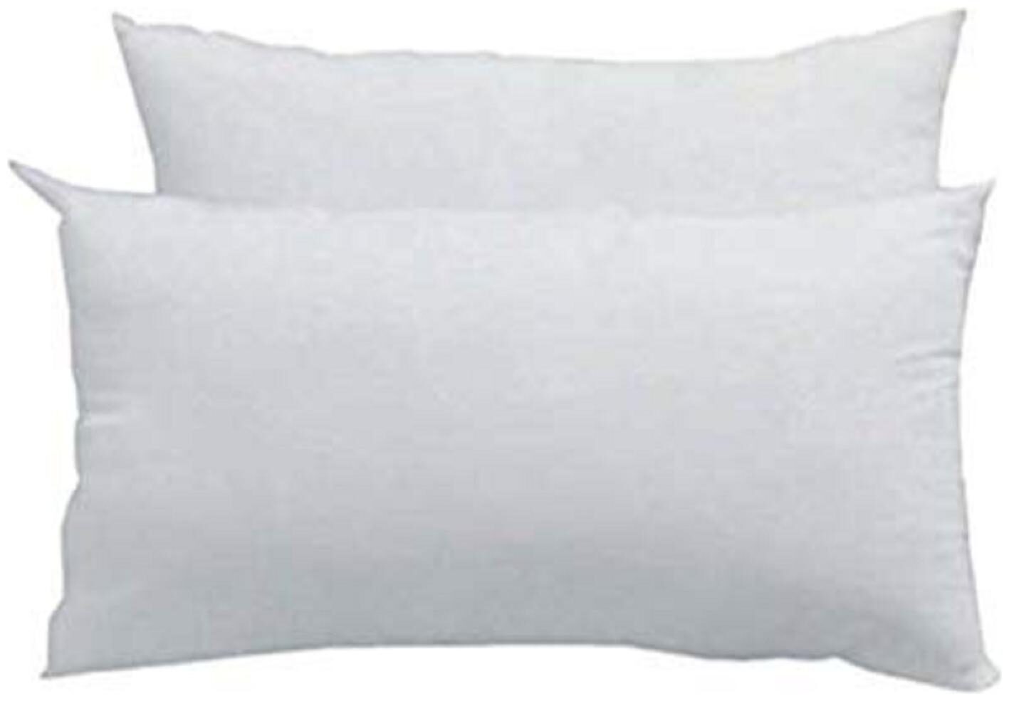 

JDX Home Decor Sleeping Bed Pillow Set of 2-48x63