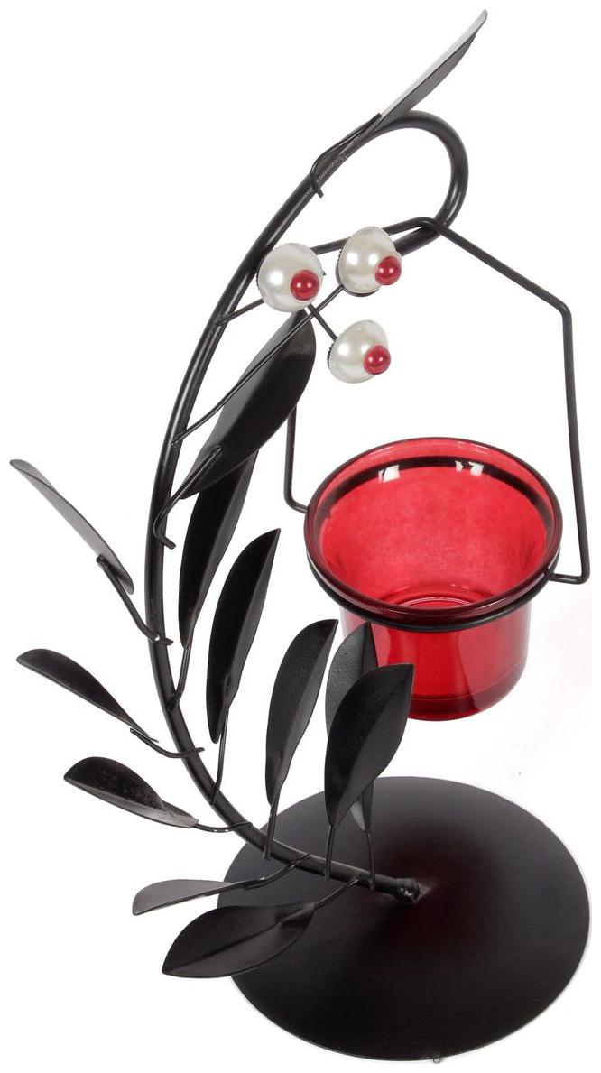 

Jewel Fuel Glass Multi Candle holder