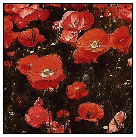 

JustPrintz Canna Flowers MDF Painting Digital Reprint 10x10 inch