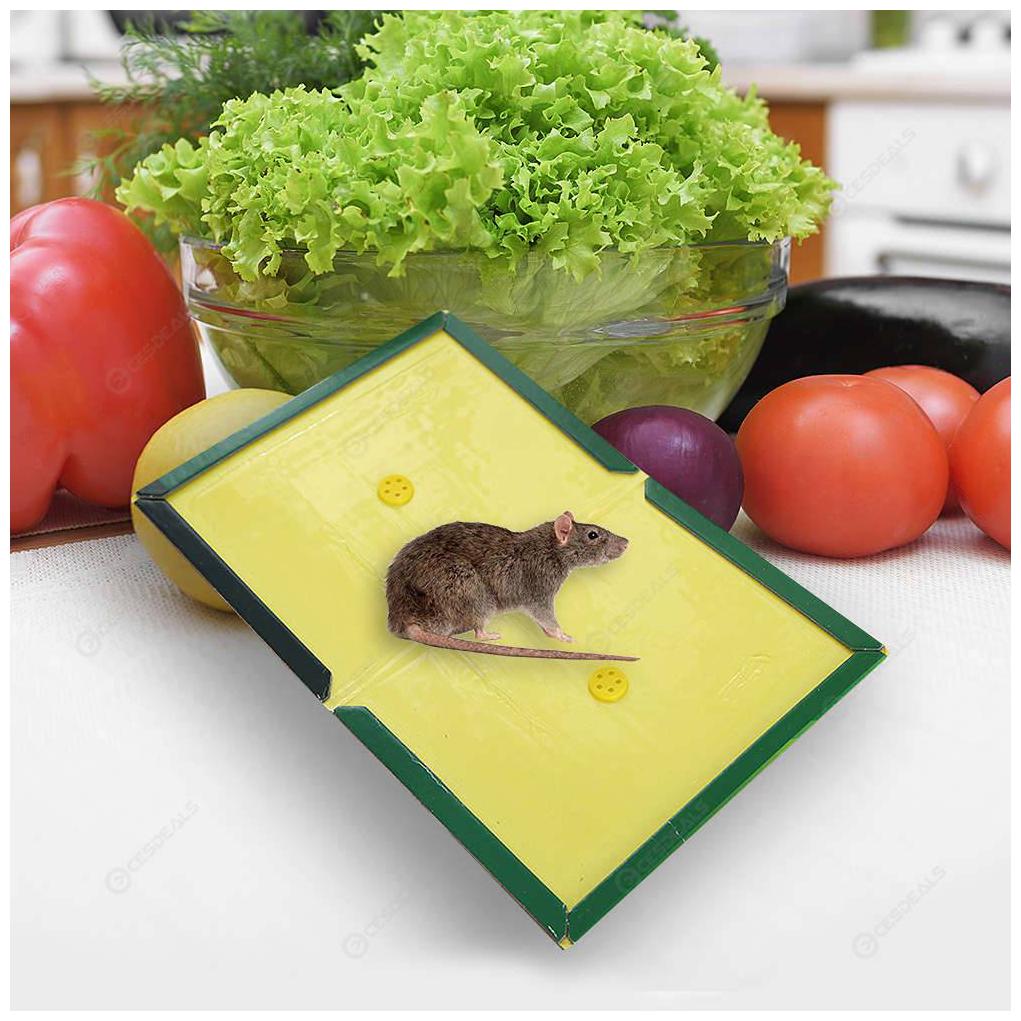 

K Kudos Mouse Glue Boards Rat Glue Pad Mouse Catcher 2pcs