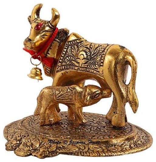 

kamdhenu cow
