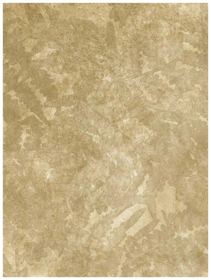 

Kathy Ireland Shades of Tan Ferns Wallpaper-Double roll