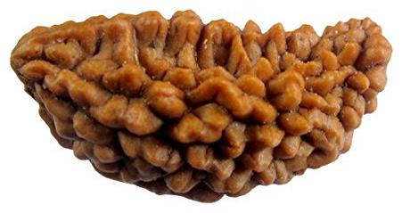 

KESAR ZEMS Natural Wooden Ek Mukhi-One Face Rudraksha Bead with Certificate(2 5x1 4x 1cm Brown)