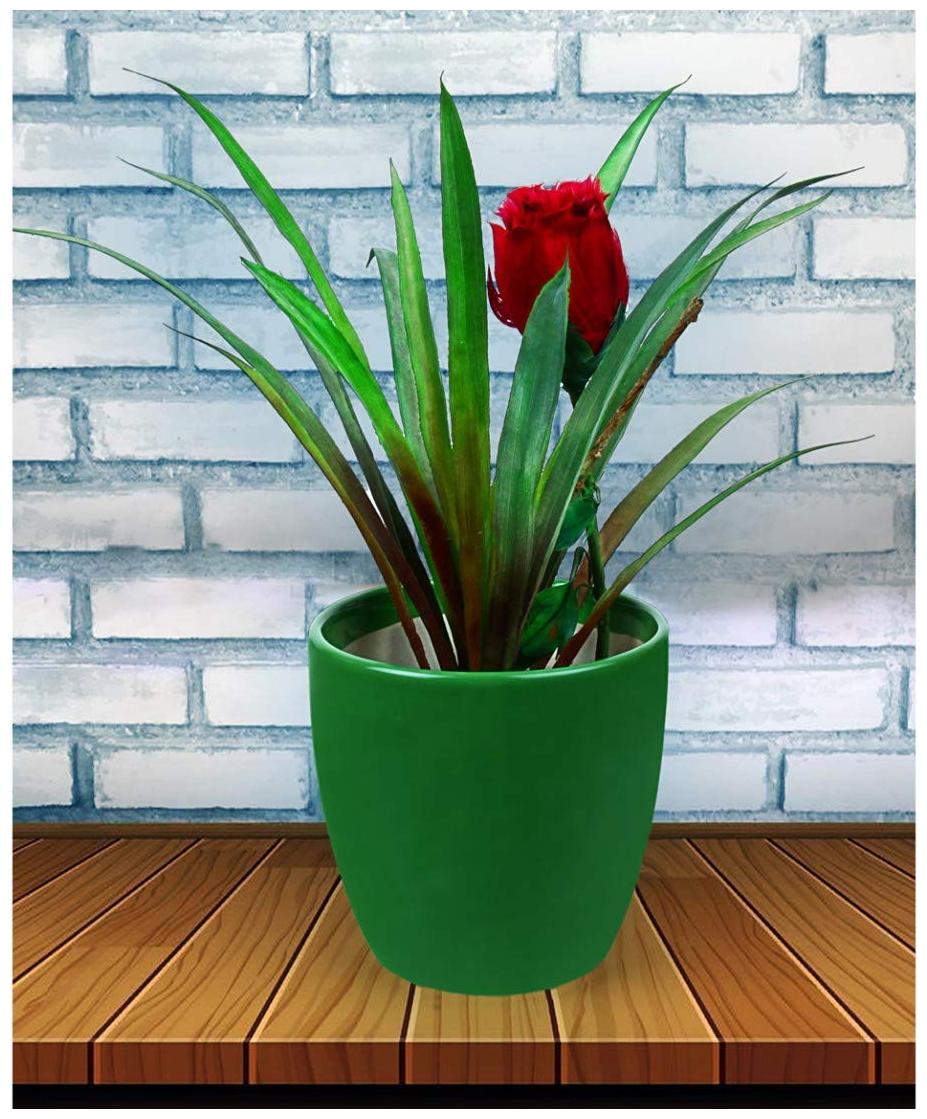 

Kraftmania Creative Ceramic Planter Size 18x15x18 cm for Home Office Decoration
