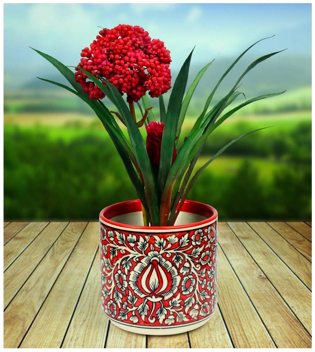 

Kraftmania Creative Ceramic Planter Size 18x15x18 cm for Home Office Decoration