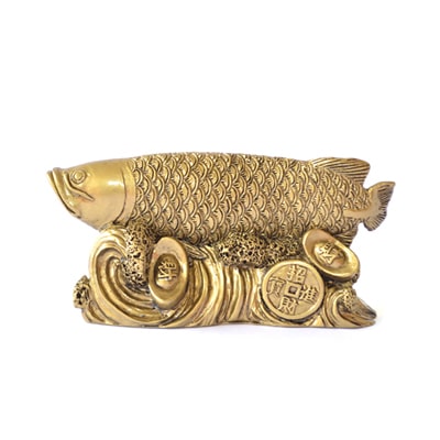 

Kriti Creations Feng Shui Arrowana On A Bed Of Coins