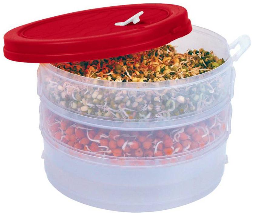 

Lion Lender Air-Tight Sprout Maker 3 compartments - 1000 ml Plastic Grocery Container (Pack of 3 Red Transparent)
