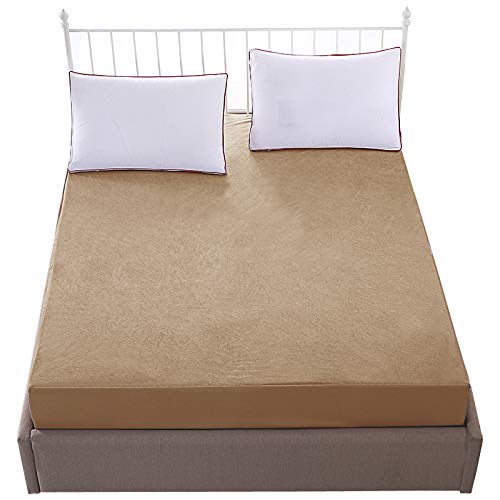 

Lithara Cotton Queen beds Mattress protectors