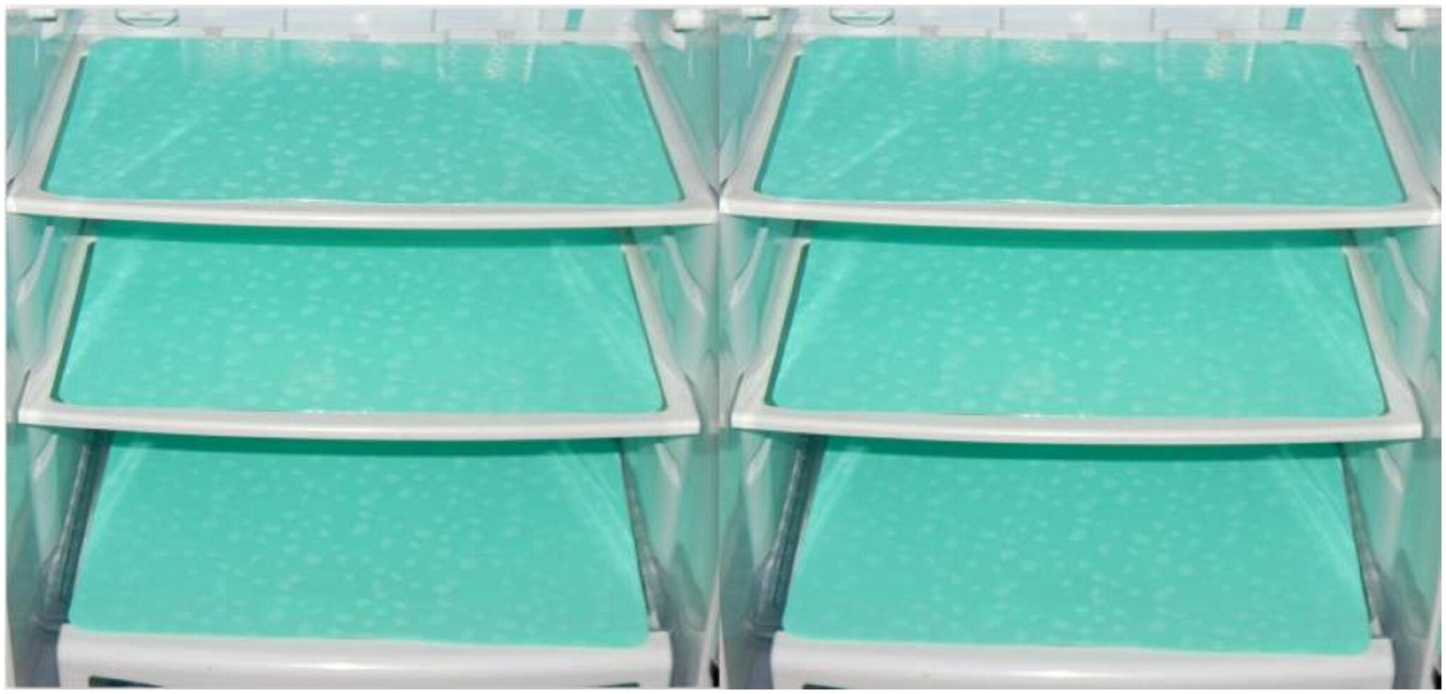 

LooMantha Pack Of 6 Green crystal Refrigerator Fridge Drawer Mats