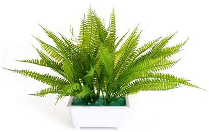 Loxiaa Artificial green look like natural home decor office decor