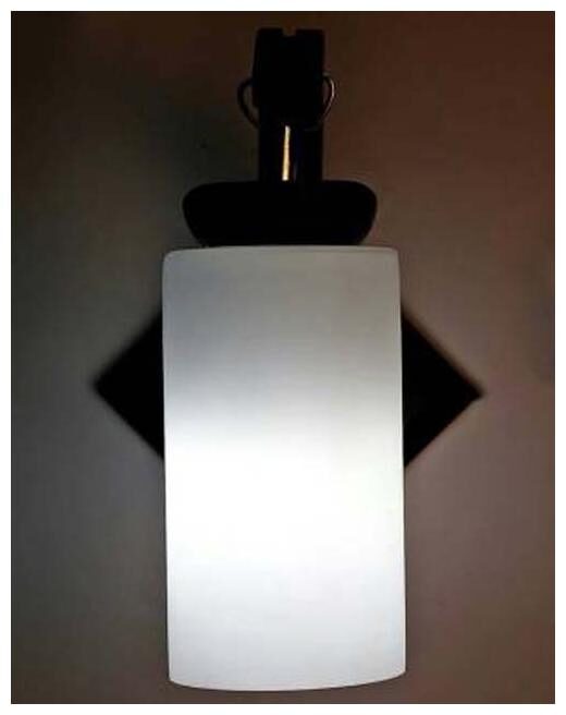 

Luck n Tuk Glass Wallchiere Lamp -Set of 1