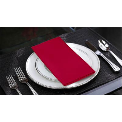 

Lushomes Rasberry Cotton Plain 6 Table Napkins Set (Dinner Napkins)