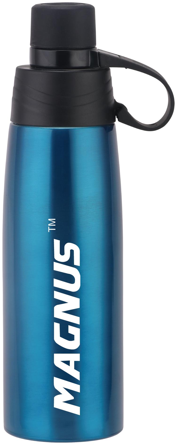 

Magnus Stainless Steel Blue Water Bottle ( 550 ml Set of 1 )