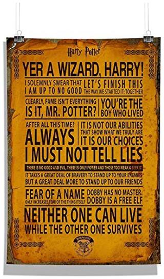 Buy Mc Sid Razz Official Harry Potter Quotes Wall Decor Home