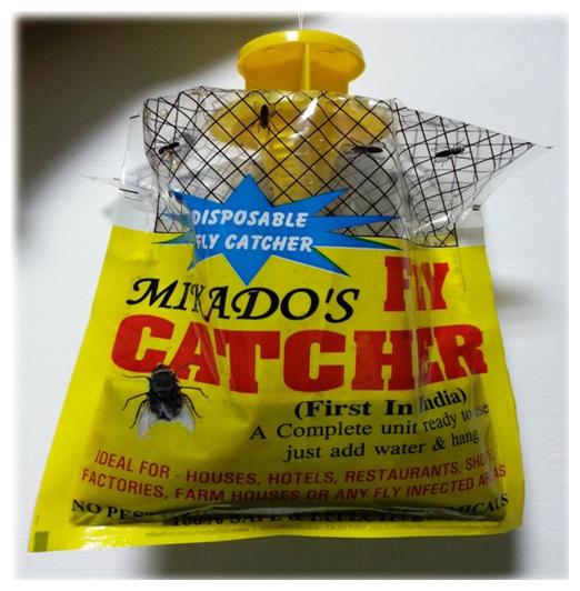 

Mikado Fly Catcher