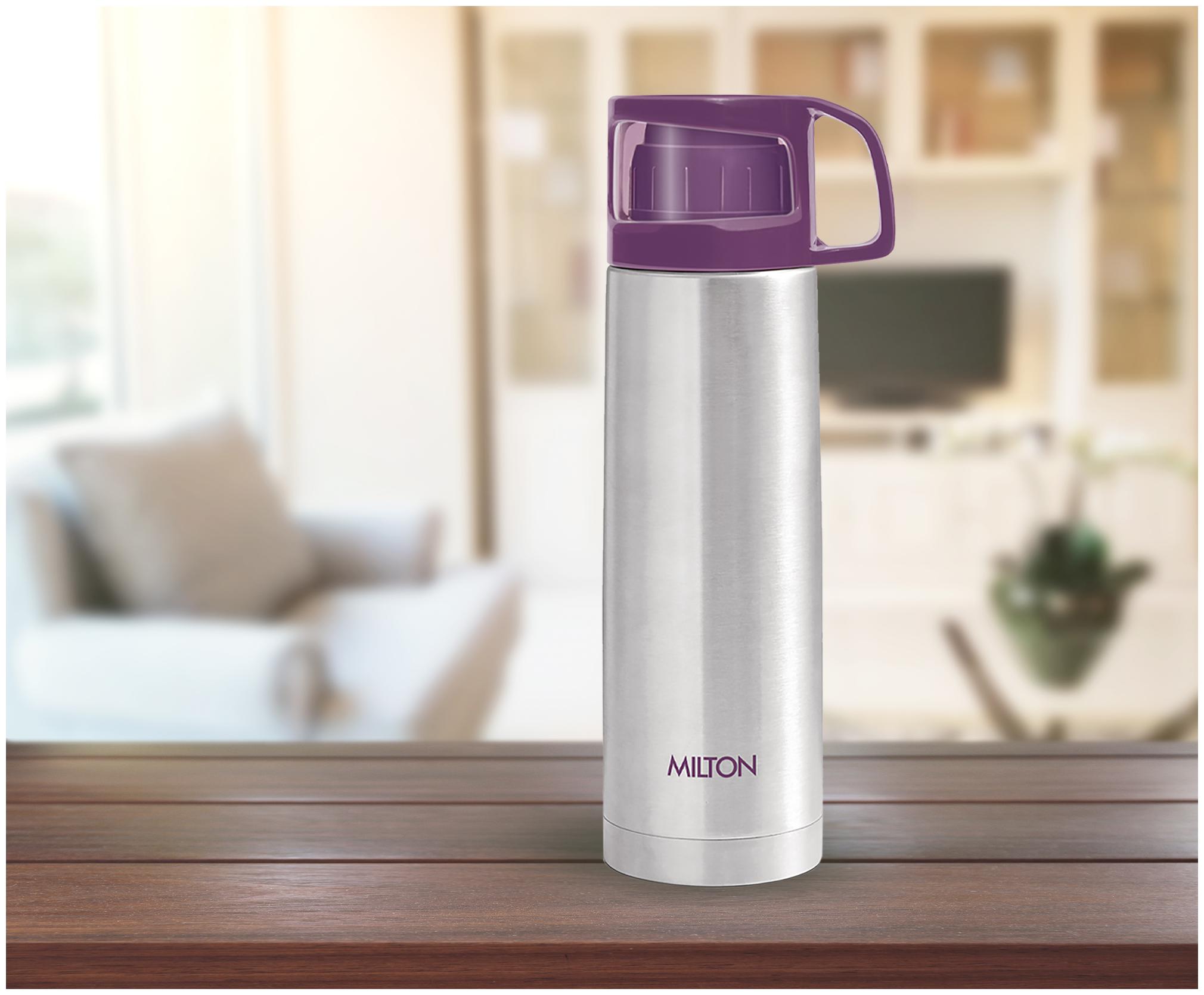

Milton Thermosteel Glassy 350 Dark Purple Bottle Flask