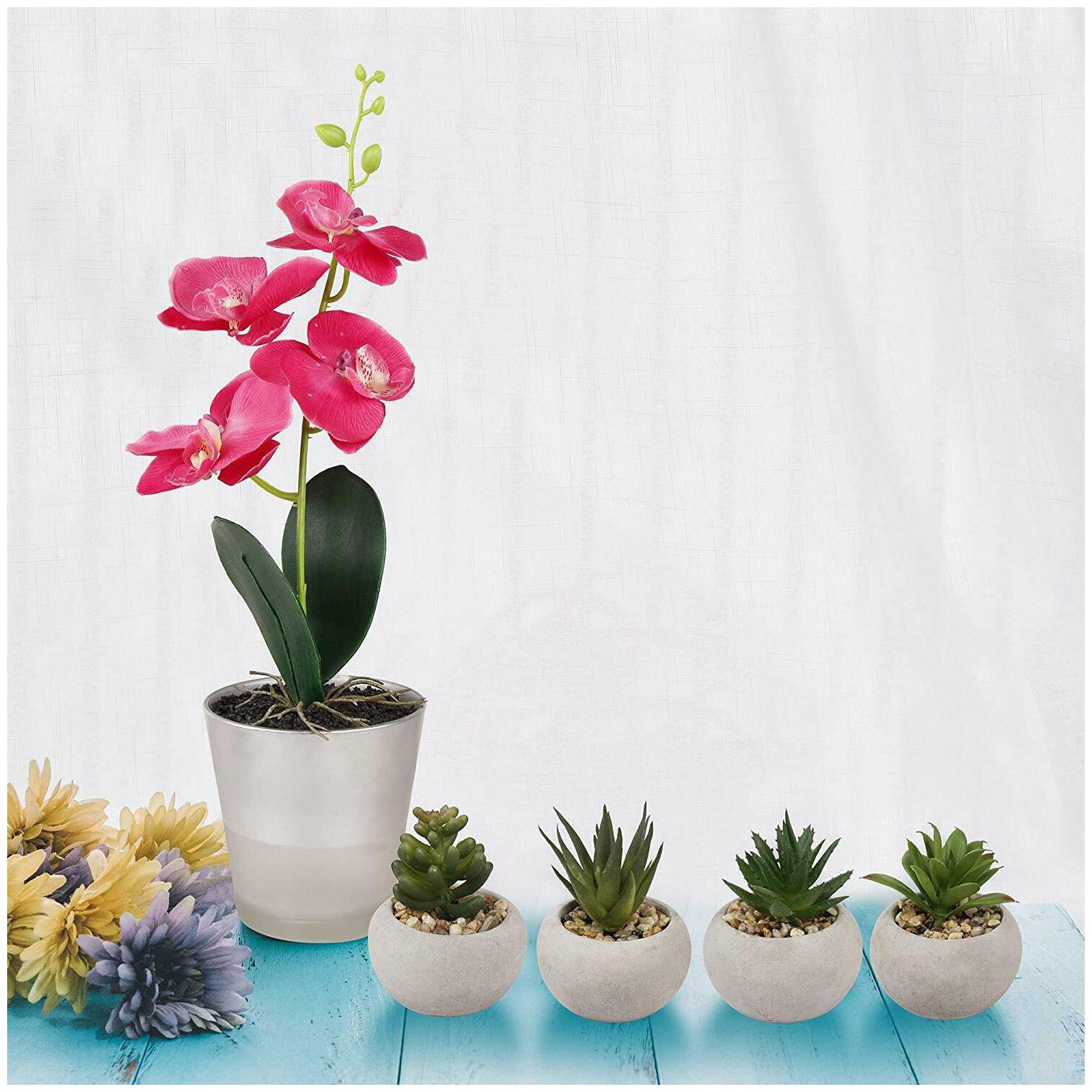 

Mini Artificial Succulents Potted Orchid with Glass Vase Set of 5