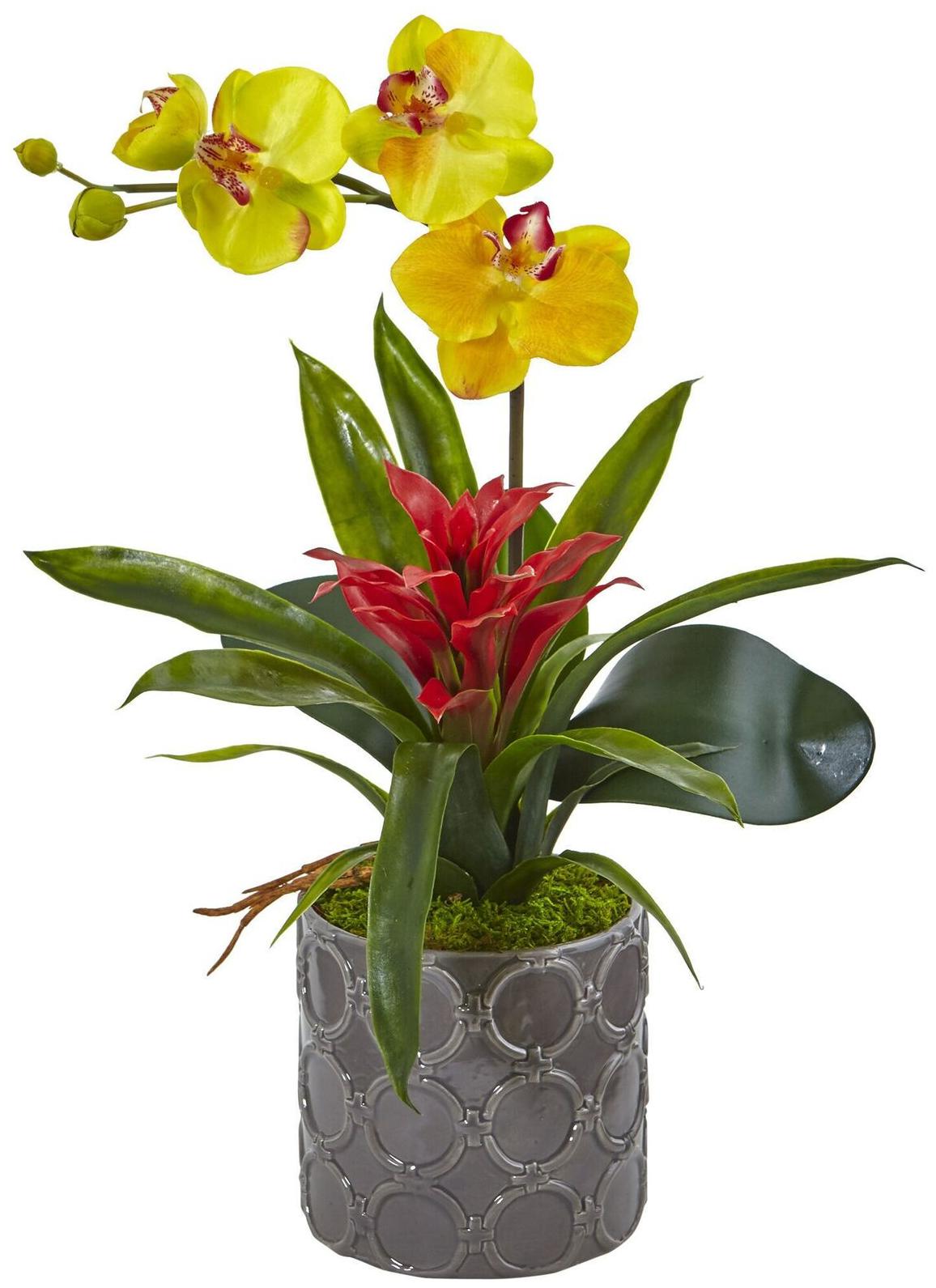 

Mini Phalaenopsis Orchid and Bromeliad in Grey Vase