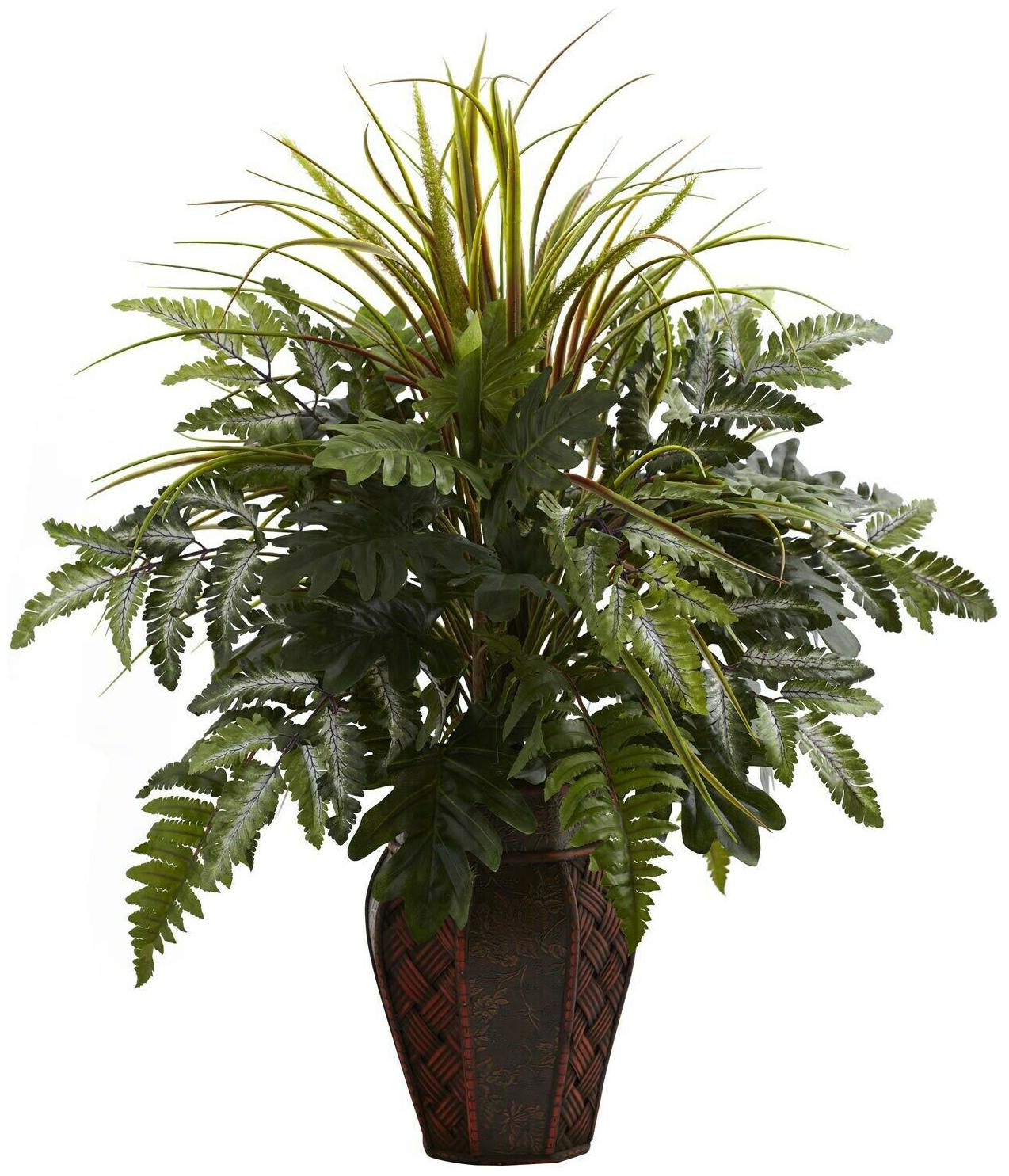 

Mixed Grass and Fern in Decorative Planter Arrangement Medium
