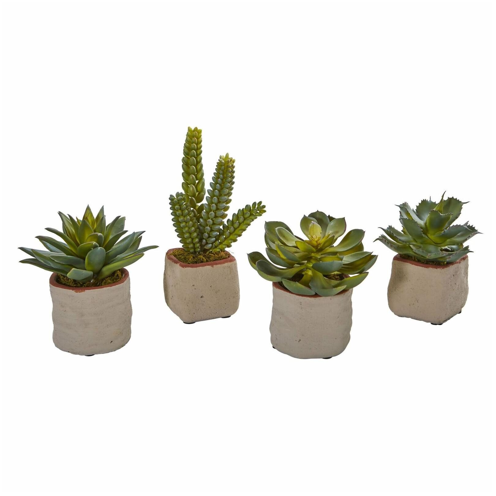 

Mixed Succulent Artificial Plant (Set of 4)