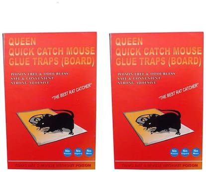 Mouse Glue Board Trap Pad (2Pcs)