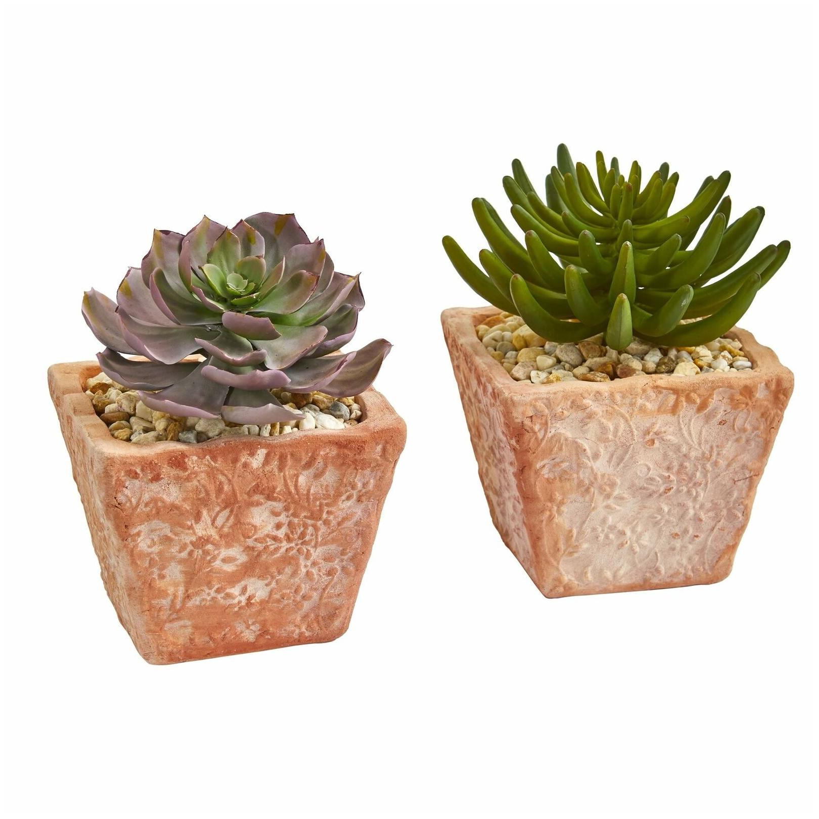 

Nearly Natural 9-inch Succulent Artificial Plant (Set of 2)