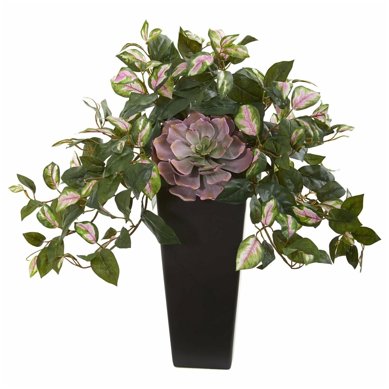 

Nearly Natural 22-inch Echeveria Succulent and Hoya