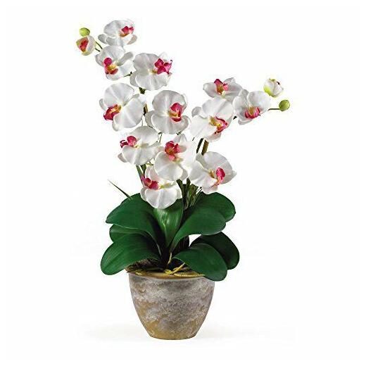 

Nearly Natural Double Phalaenopsis Silk Orchid Flower Arrangement White