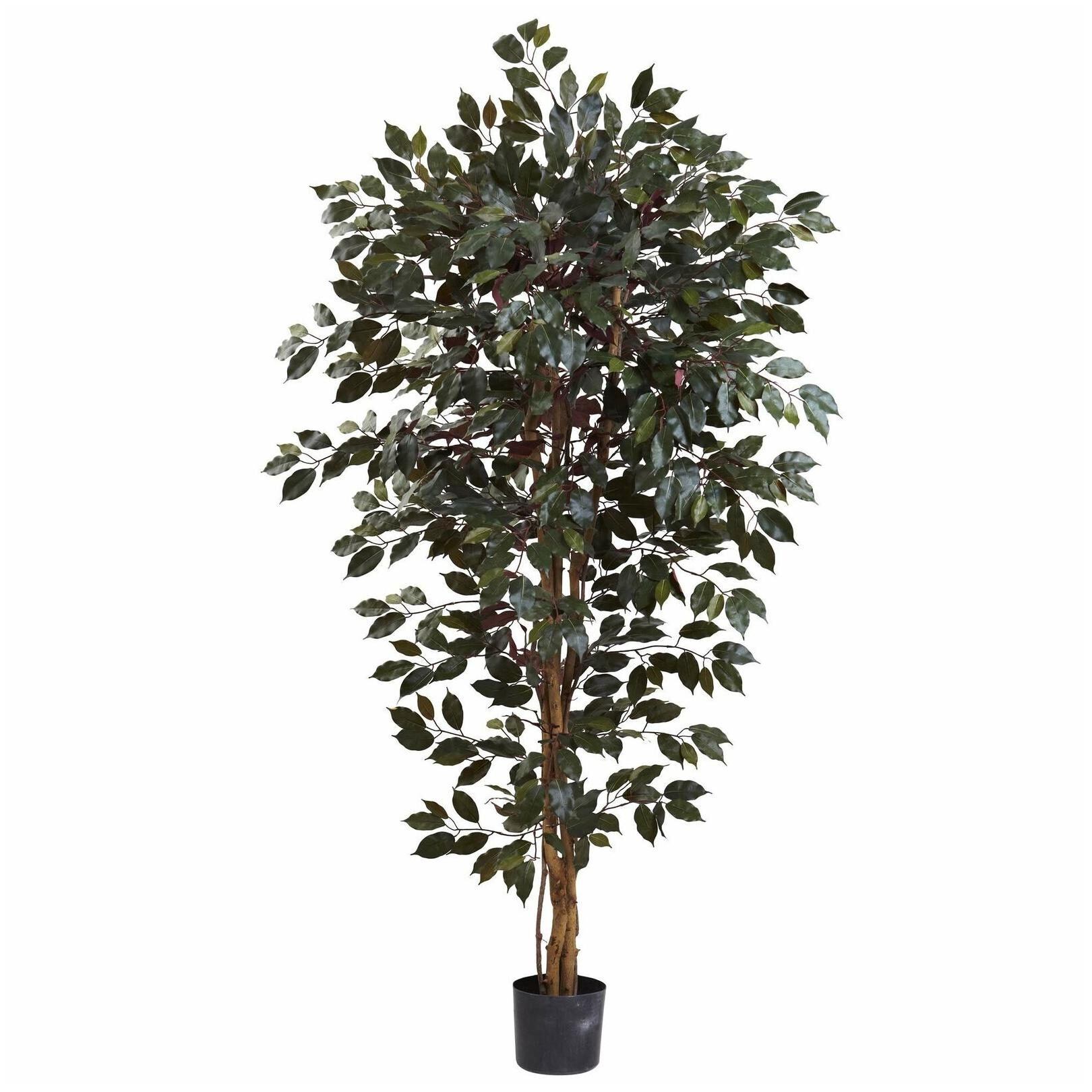 

Nearly Natural Capensia Ficus Tree