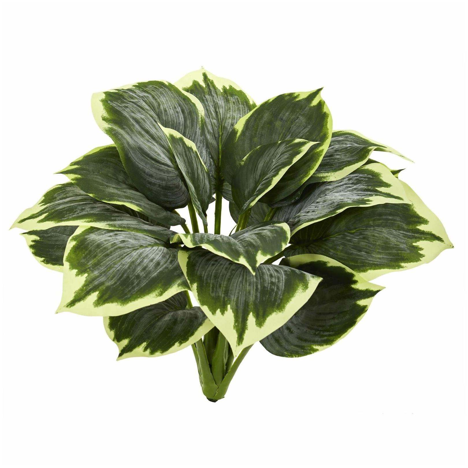 

Nearly Natural Variegated Hosta Artificial Plant (Set of 6)