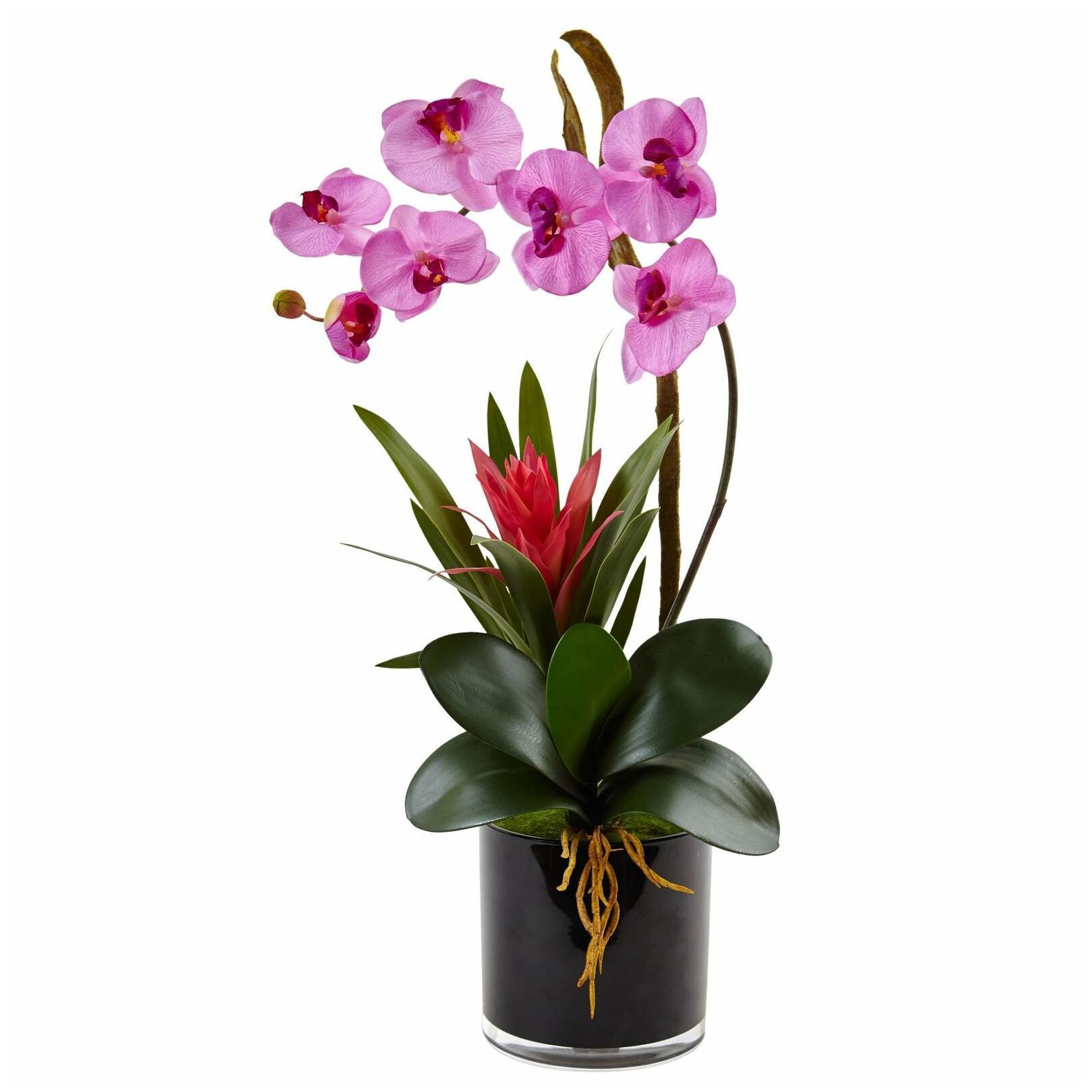 

Nearly Natural Faux Orchid and Bromeliad in Glossy Black