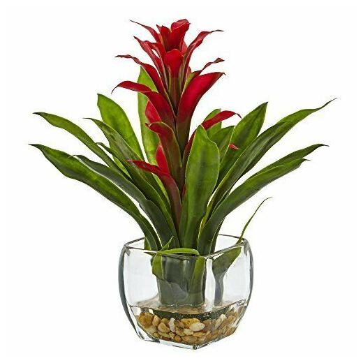 

Nearly Natural Bromeliad with Glass Vase Arrangement